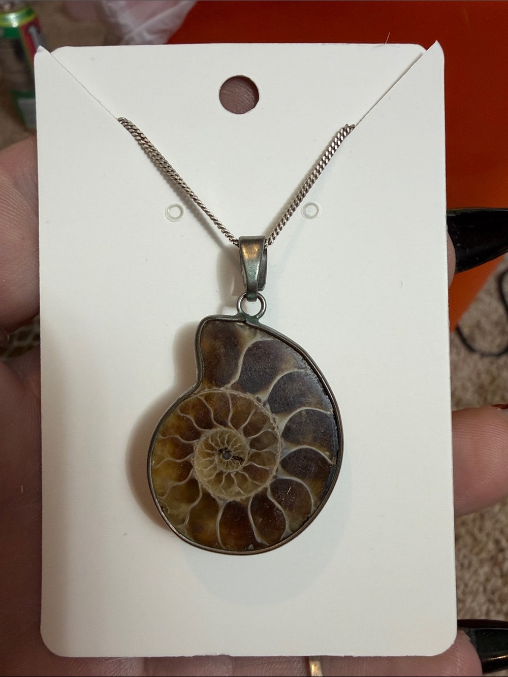 Fossil-Inspired Ammonite Shell Pendant Necklace - Brown- Sterling silver